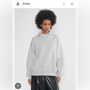 Aritzia Cozy Fleece Mega Snorkel Hoodie Gray XS